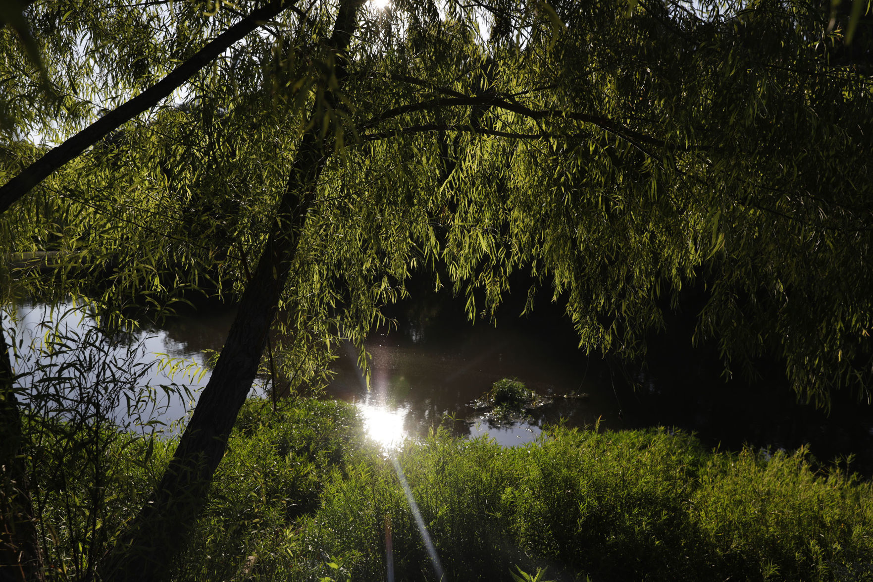 Outdoors: Oxley Nature Center walks